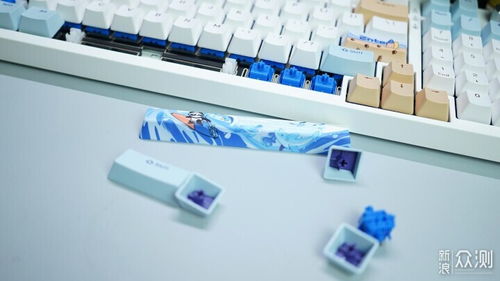 定制化手感與悅動光效 玄派玄熊貓PD98機械鍵盤深度體驗