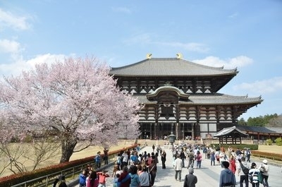 中國旅游團(tuán)在日本遭地接‘甩團(tuán)’ 旅游業(yè)務(wù)的反思與警示